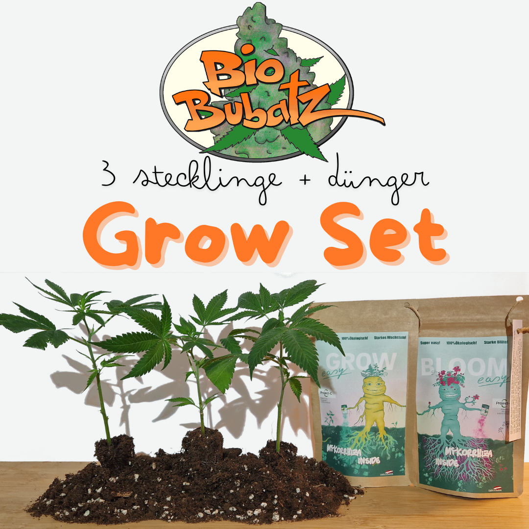 SoMango Set