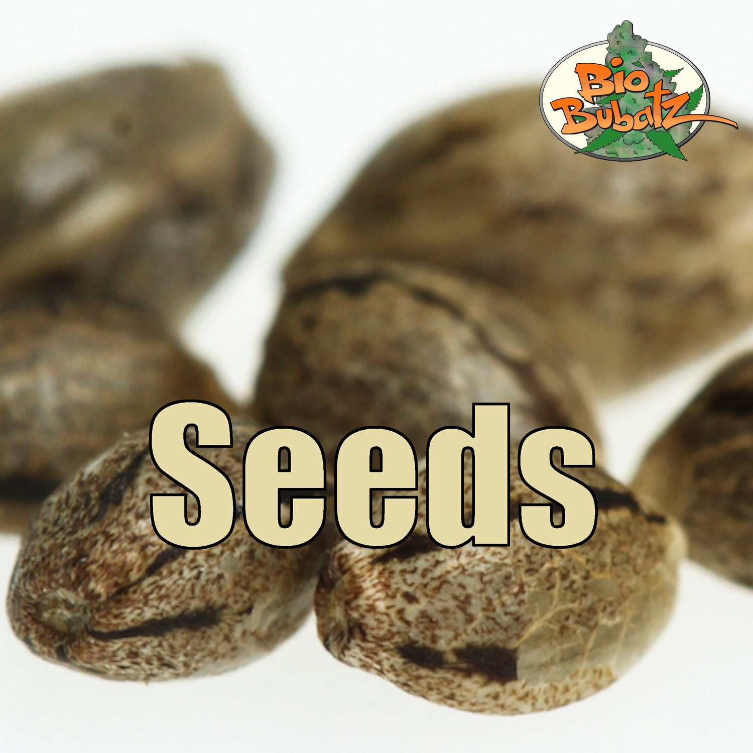 Seeds