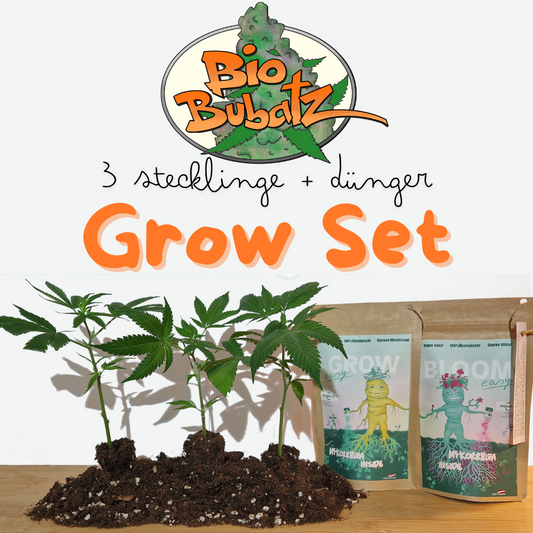 Durban Poison Set